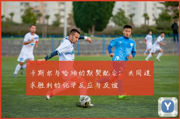 卡斯尔与哈珀的默契配合：共同追求胜利的化学反应与友谊