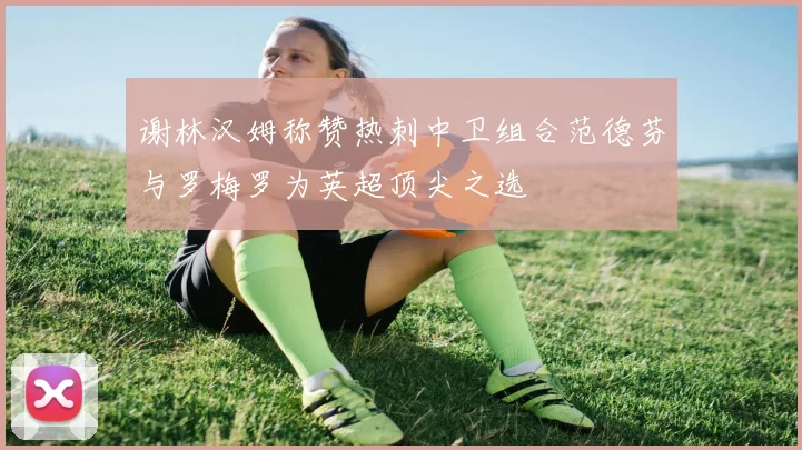 谢林汉姆称赞热刺中卫组合范德芬与罗梅罗为英超顶尖之选