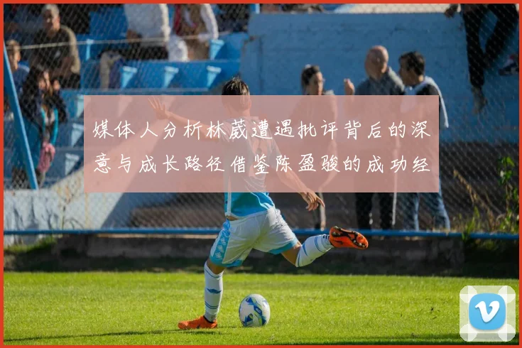 媒体人分析林葳遭遇批评背后的深意与成长路径借鉴陈盈骏的成功经验